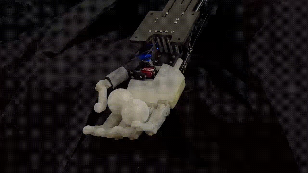 1737799632624134.gif 4.gif.gif